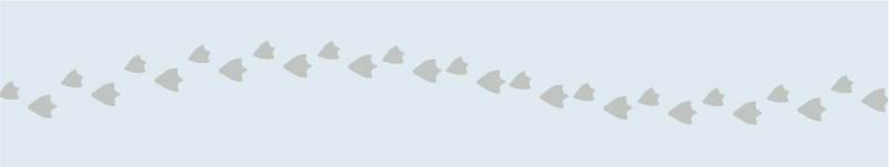 しちだっく足跡